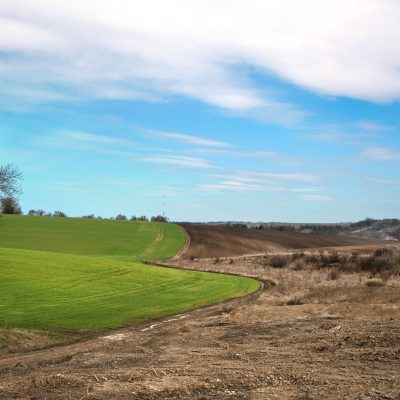 Erosion and dust control